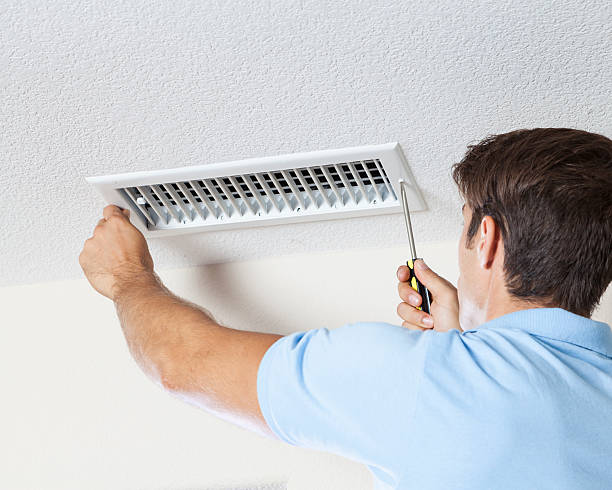 Best Environmental Consulting for Mold Prevention  in Lake City, IA