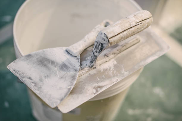 Best Comprehensive Air Testing for Mold Contaminants  in Lake City, IA