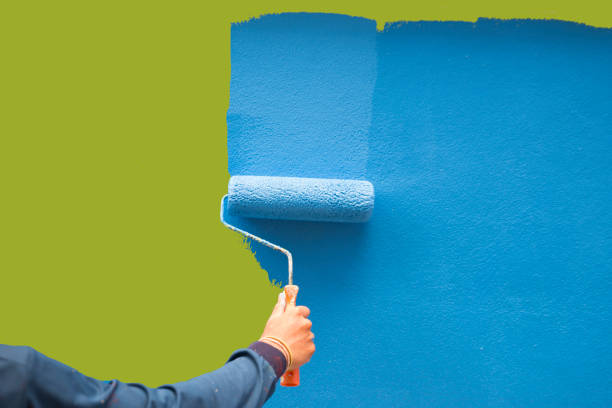 Reliable Lake City, IA Mold Removal Solutions